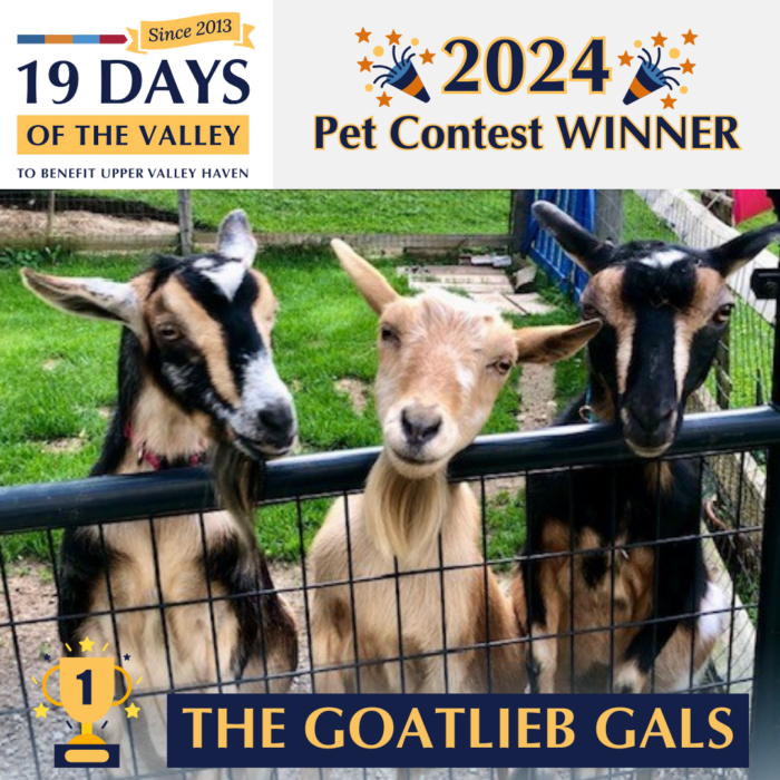 19 Days Pet Contest Winners