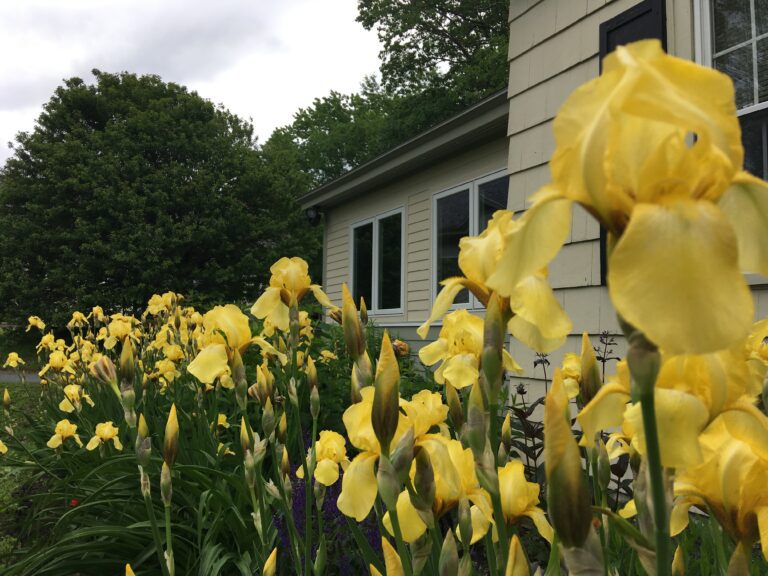 Vermont Housing & Conservation Board Pledges 1 Million to the Upper